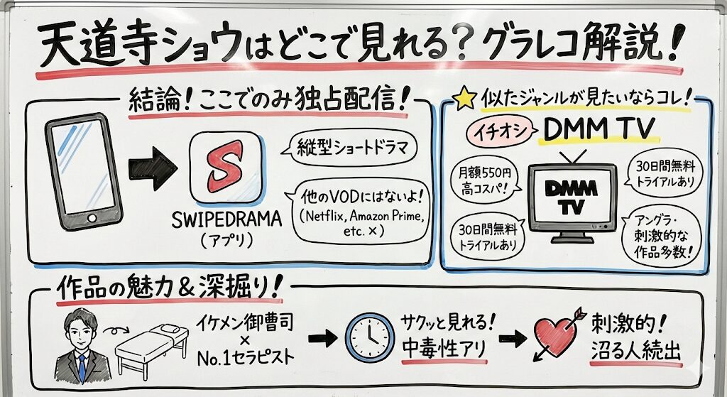 天道寺ショウはどこで見れる？お得な動画配信サービスはこれがおすすめ！
