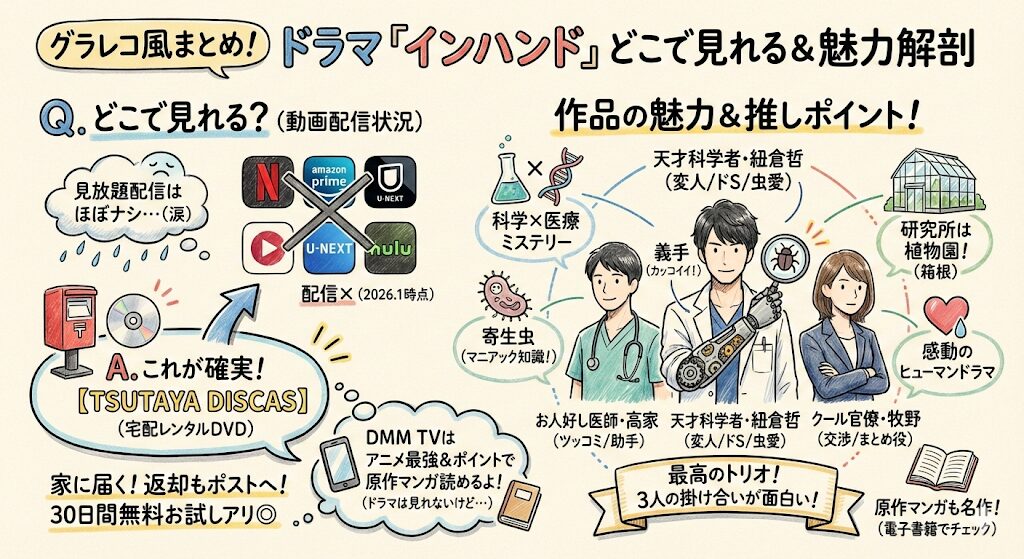 インハンドはどこで見れる？お得な動画配信サービスはこれがおすすめ！